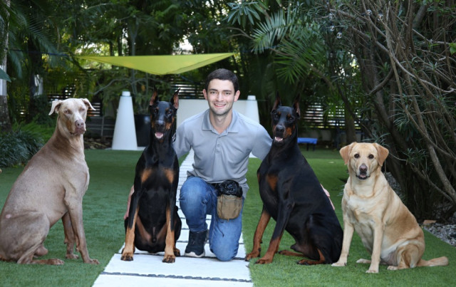 Durante su voluntariado en Miami, en el Hialeah Shores Nursing &amp; Rehabilitation Center, estuvo acompañado por los perros dóberman Ammo, Fénix y Ace y la labradora Matilda.