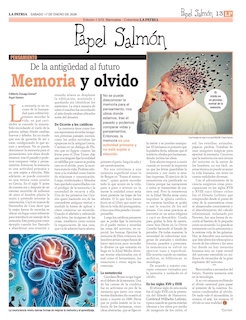 PAPEL SALMON ENERO 17 - 2026