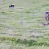 Foto I Cortesía para LA PATRIA  El vehículo rodó en el sector de Grecia, cerca del corregimiento de San Félix (Salamina). Salió de Manzanares y ya había pasado por la cabecera municipal de Marulanda.