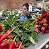 700 millones de rosas envía cada año Colombia a las floristerías de todo el mundo por San Valentín.