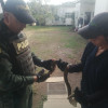 Esta es la serpiente recuperada