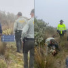 Policía del Tolima y funcionarios de Parques Nacionales Naturales replantaron los cinco frailejones en la vía Manizales - Murillo.