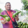 Contrarrestar los préstamos 'gota a gota' es el objetivo de la Línea Especial de Microcrédito del Fondo para el Financiamiento del Sector Agropecuario (Finagro), que subsidia los créditos de pequeños productores en todo el país.