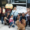 protesta contra el maltrato animal