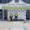 La perra detectó la caneca con marihuana en la Terminal de Transportes de Manizales.