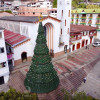 árbol de Navidad en Pensilvania (Caldas), que mide 18 metros de alto.