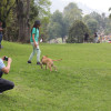 De paseo por el Bosque Popular de Manizales: ciudadanos destacan la remodelación. Hay más orden, nuevos parqueaderos y baños limpios. También piden accesos para personas con movilidad reducida y programas de formación para aprovechar la cancha de tenis. Fotos del antes y el después.