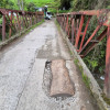 Foto | Freddy Arango | LA PATRIA Este puente es constantemente transitado. 