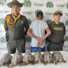 Joel Popó Mina sostuvo que desconocía la ley y tuvo en su poder las tortugas por 21 años.