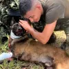 El belga malinois Sansón, del Ejército, activó una bomba del Eln para salvar la vida de 36 personas. Como consecuencia, perdió una pata.