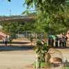 Fotos I Freddy Arango I LA PATRIA  Los estudiantes del colegio Renán Barco-Juan Pablo II, de La Dorada, completan dos años sin un escenario adecuado para la educación física.