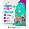 Si sale a la ciclovía, visite a los animales que están en adopción en el Parque de la Mujer. 