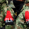 Eln