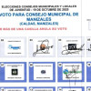 Según la página web de la Registraduría Nacional del Estado Civil en Manizales cuenta con 28 agrupaciones políticas inscritas para participar en las elecciones de los Consejos Municipales de Juventud.