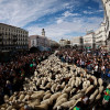 Miles de ovejas y cabras recorren el centro de Madrid con sus pastores en la XXXII edición de la Fiesta de la Trashumancia. 