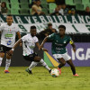 Con un gol de Luis 'Niche' Sánchez, el Once Caldas empató 1-1 contra el Deportivo Cali y fue eliminado de la Liga. Terminó en la casilla 11, con 27 puntos, y se despidió de la temporada 2025.