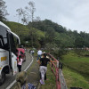 Manizales