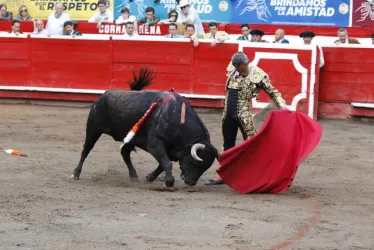 Luis Bolívar el gran triunfador de la tarde de ayer instrumenta un natural a su toro Perfumado de 472 kilos, corrido en primer lugar.