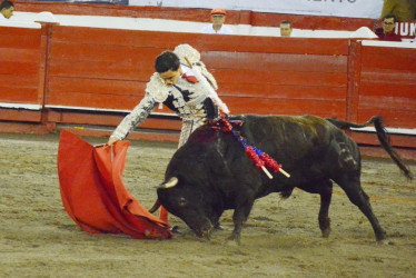 Un precioso natural ejecutado por Juan de Castilla al toro Castellano de 440 kg, corrido en la tarde ayer.