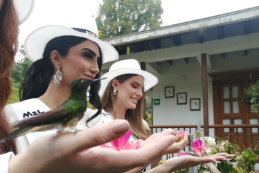 Las candidatas al Reinado Internacional del Café llegaron a la Reserva de Río Blanco y tuvieron contacto con los colibríes.