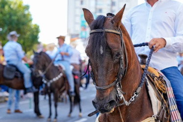 Así serán los controles de la Secretaría de Medio Ambiente durante la cabalgata de la Feria de Manizales