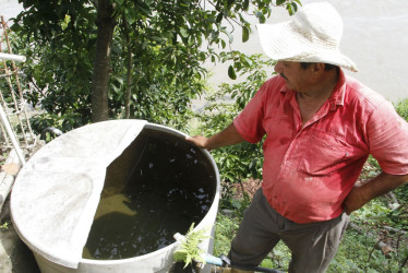 77 casos en La Dorada activan alerta contra el dengue en Caldas