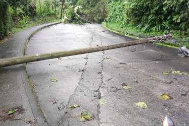Caída de árboles y derrumbes por las lluvias en Manizales y Villamaría 