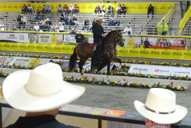 Prometido de la Ceiba fue el ganador de la categoría de Caballos de 48 a 60 meses. 