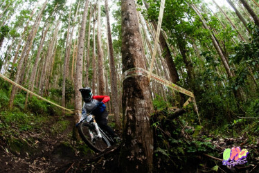 DH de Las Flores en Manizales