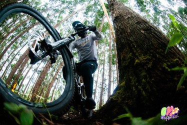 Down Hill de las Flores