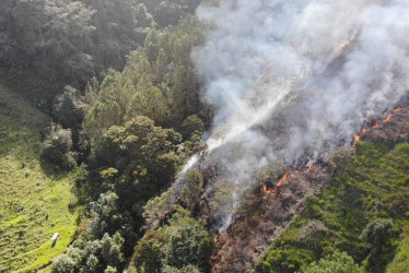 El miércoles los organismos de socorro de Pensilvania con apoyo de Defensa Civil y Cruz Roja controlaron un incendio de cobertura vegetal, en zona rural del sector la Arenera, en dónde el fuego amenazaba con consumir la franja natural de una fuente hídrica.