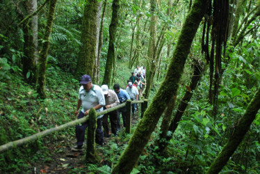  La protección de la Reserva Forestal Río Blanco se tocará en el evento.