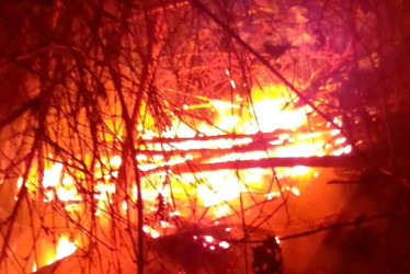 Chispa de juego pirotécnico provocó incendio de arbustos en Arauca (Palestina)