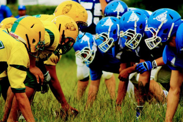 Toros Salvajes Manizales