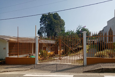 En el colegio José María Carbonell, de Palestina, desde el año pasado esperan la llegada de un etnoeducador con el propósito que les dicte clases de embera a unos 25 estudiantes de la parcialidad Ambacheke.