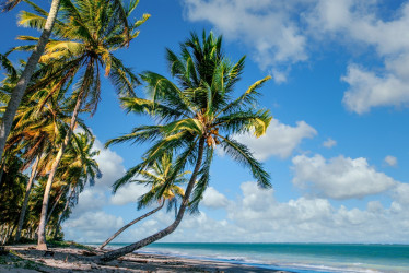 Playas de República Dominicana. 