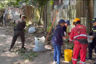 Varias entidades se unieron a la iniciativa, en la que la comunidad también participó.