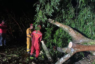 El Cuerpo de Bomberos de Filadelfia atendió la emergencia y despejó la vía para la normalidad del tránsito de vehículos.