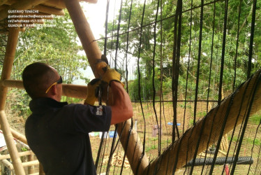 Guadua y Bambú Colombia compra la guadua en el Quindío para luego exportarla a países de centro, sur y norteamérica y a Europa. Construyen casas y hoteles con este material vegetal, hacen diseños y dictan cursos de edificación con guadua.