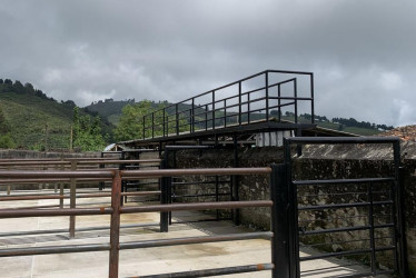 La Central de Sacrificio de Aguadas obtuvo la aprobación del Invima para entrar en operación el pasado 4 de septiembre. La planta llevaba ocho años cerrada. Ya hay cronograma para sacrificio de porcinos y bovinos. ¿Cuál es el panorama de los demás mataderos de Caldas?