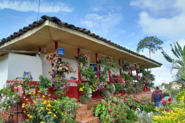 Los bellos jardines que adornan los corredores del Paisaje Cultural Cafetero.