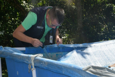 En lo corrido del año en Dosquebradas se han tenido 2793 consultas por dengue. 