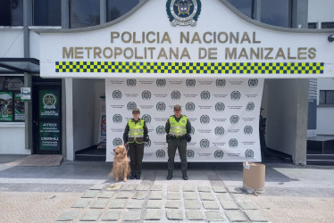 La perra detectó la caneca con marihuana en la Terminal de Transportes de Manizales.