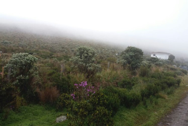 La ANT no comprará predios en el PNN Los Nevados ni en su zona de influencia en los predios entre Villamaría (Caldas) y Santa Rosa de Cabal (Risaralda). 