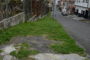 Según la comunidad, este andén en la Calle Larga de Chipre se encuentra invadido por la maleza.