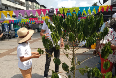 Los recolectores de café participan a esta hora de la mañana en la Segunda Feria Cafetera de Chinchiná. Andan entretenidos con las actividades.