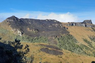 Una línea de energía reventada ocasionó el incendio que consumió varias hectáreas en zona de influencia del PNN Los Nevados.