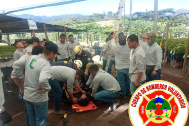 Afectado por la descarga.