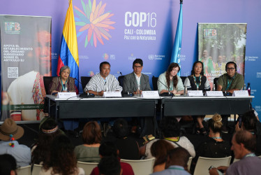 Indígenas de la COP16