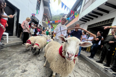 Ovejas de la Cooperativa Ovina de Marulanda y el rebaño de los hermanos Restrepo, conocido como ‘Los Civiles’, desfilaron este domingo en el corregimiento de Montebonito (Marulanda).